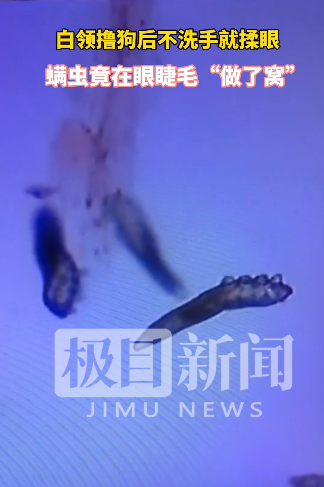 微信截圖_20211102094048.png